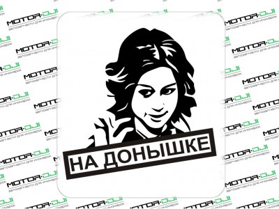 Наклейка "Шурыгина. На донышке",S (черный, 15х20см) - фото №1