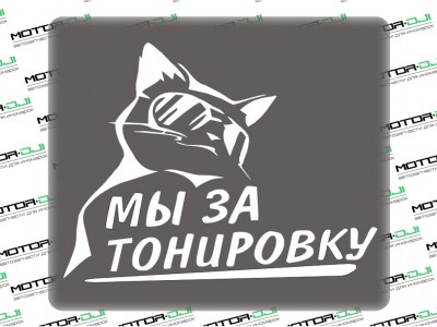 Наклейка "Кот Мы за тонировку",М (белый, 17х21см) - фото №1