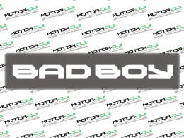 Наклейка "Статус Bad boy",L (белый, 5х40см) - фото 1