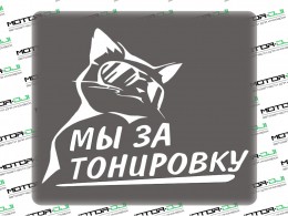 Наклейка "Кот Мы за тонировку",М (белый, 17х21см) - фото 1