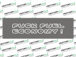 Наклейка "F*ck Fuel economy", в ассорт. - фото 1