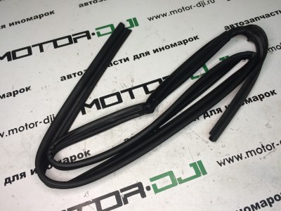 Уплотнитель стекла двери задней левой  Trajet - фото №1