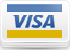 Можно оплатить картой Visa Visa