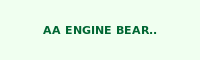 AA ENGINE BEARING