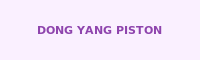 DONG YANG PISTON